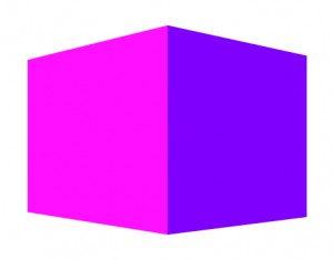 En fixant le regard sur cette illustration, on peut voir spontanément deux couleurs à plat de forme géométrique. Mais si l'on décide de voir un seul objet, apparaît alors un cube dont une face est éclairée et l'autre dans l'ombre.