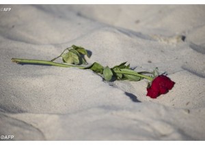 Une rose sur la plage où a eu lieu la tuerie (photo: AFP)