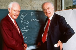 L'anglais Francis Frick et l'américain James Watson, des biologistes moléculaires, ont été récipiendaires d'un Nobel pour leur découverte de l'ADN.